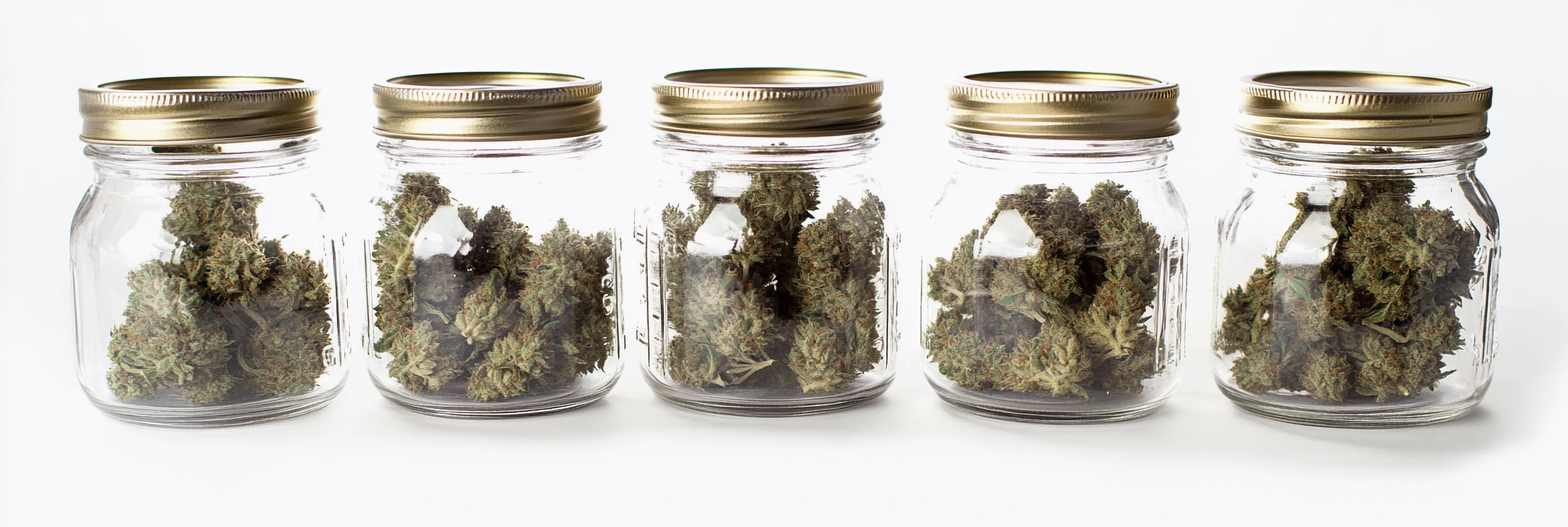 jars-filled-with-different-cannabis-strains-displayed-clearly