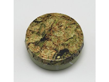 Krabička Click-Clack Buds