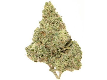 Black Widow Strong | THC-X