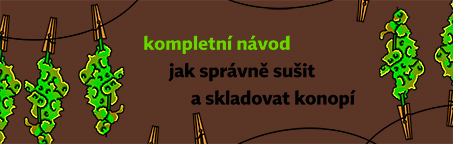 Kompletní návod jak správně sušit a skladovat konopí 