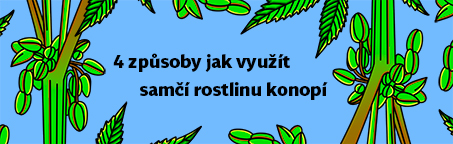 Čtyři způsoby jak využít samčí rostlinu konopí 