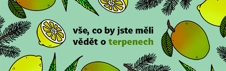 Co byste měli vědět o terpenech v marihuaně