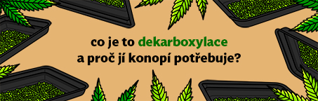 Co je dekarboxylace a proč ho vaše konopí potřebuje