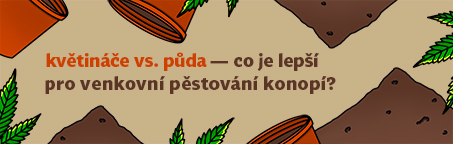 Květináče vs. půda, co je lepší pro venkovní pěstování konopí?