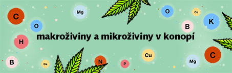 Makroživiny a mikroživiny v konopí