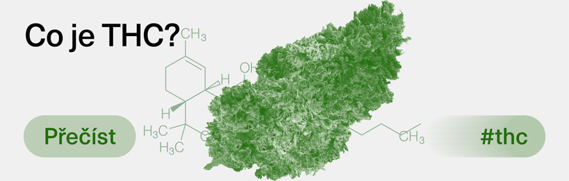 Co je THC?
