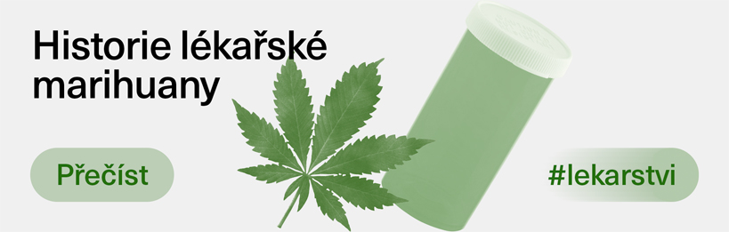 Historie lékařské marihuany