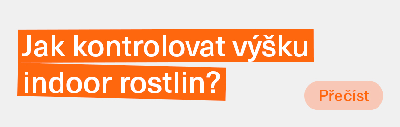Jak kontrolovat výšku konopí v indoor pěstírně