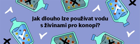 Jak dlouho lze používat vodu s živinami pro konopí