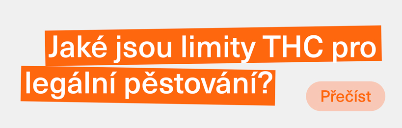 Jaké jsou limity THC pro legální pěstování konopí v EU v roce 2022