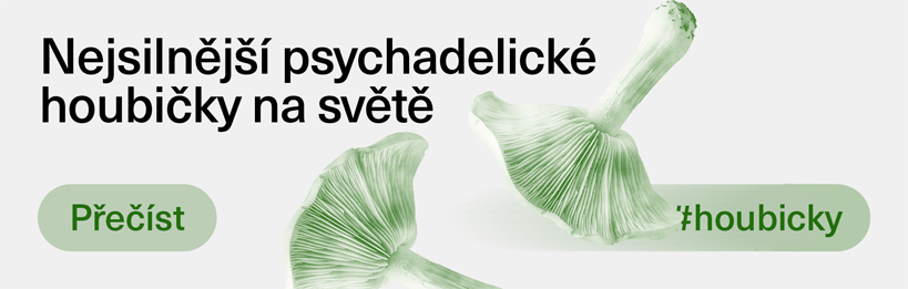 Jaké jsou nejsilnější psychadelické houbičky na světě?