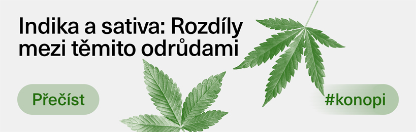 Jaké jsou rozdíly mezi odrůdami konopí indika a sativa?