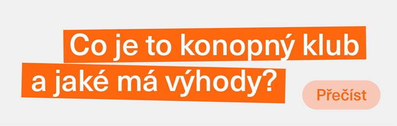 Co je to konopný klub a jaké má výhody pro své členy?