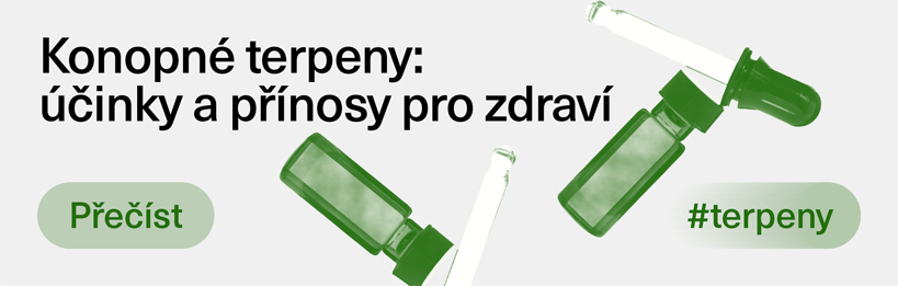 Konopné terpeny : Caryophyllene – jeho účinky a přínosy pro lidské zdraví