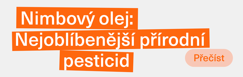 Nimbový olej: Nejoblíbenější přírodní pesticid pro marihuanu