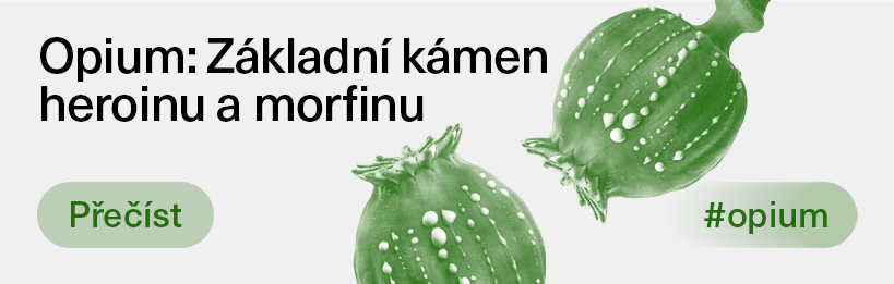 Opium – základní kámen heroinu a morfinu
