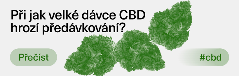 Při jak velké dávce CBD hrozí předávkování?
