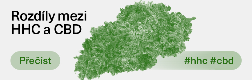 Rozdíly mezi kanabinoidy: HHC vs. CBD