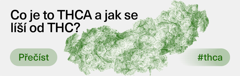Co je THCA a jak se liší od THC?
