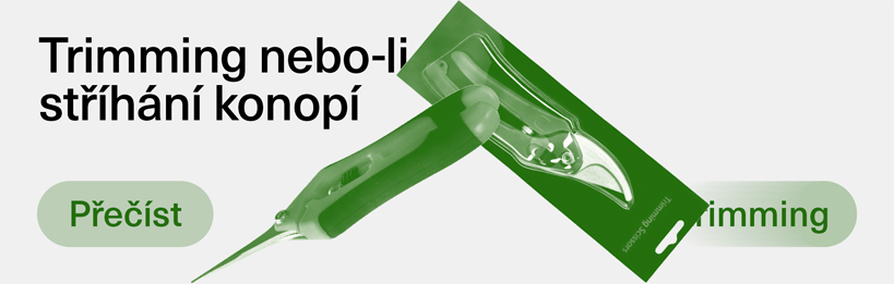 Trimming nebo-li stříhání konopí, dvě základní metody jak ostříhat listy