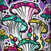 Shrooms #10 3