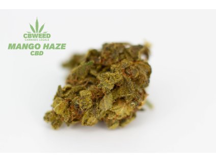 cbd konopi mango haze kvety