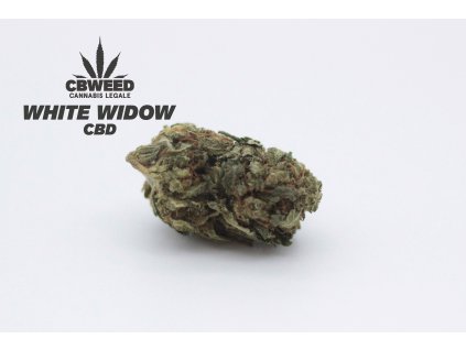 white widow cbd květy marihuany