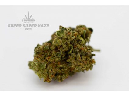 cbd konopi super silver haze marihuana