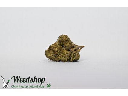 harlequin cbd konopi marihuana