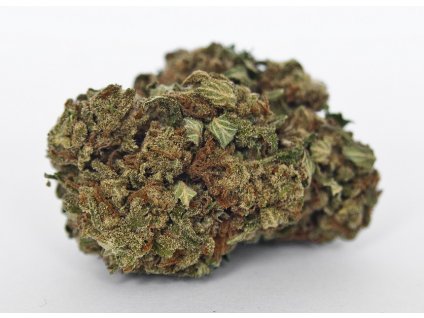 cbd konopi super silver haze marihuana