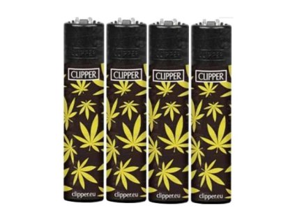 clipper golden leaves