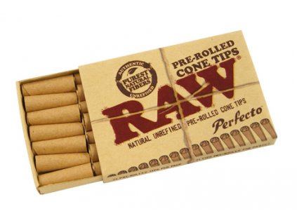 RAW TIPSREROLLED CONE pack