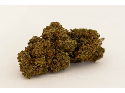 cbd konopi white widow