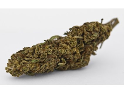 cbd konopi mandarine marihuana