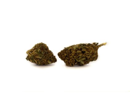 kvety cbd konopi