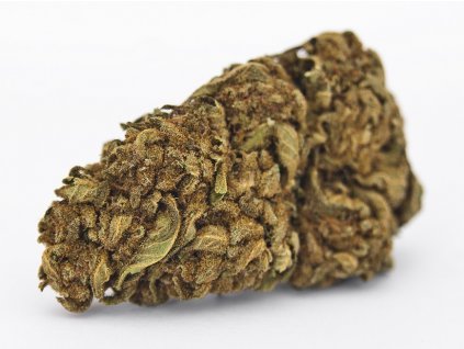 cbd konopi marihuana cheese