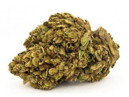 amnesia cbd konopi marihuana