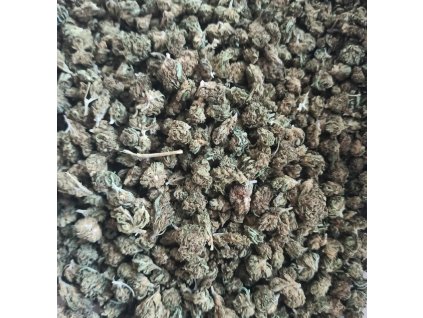 mix cbd konopi male palicky