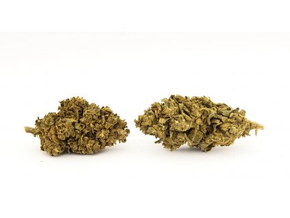 cbd konopi haze trava marihuana