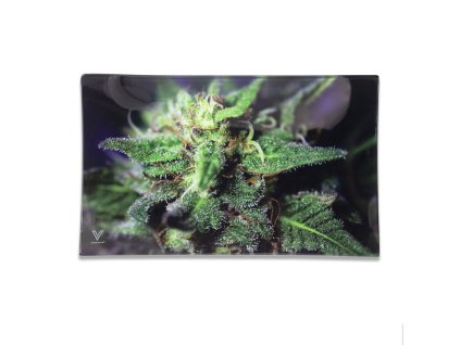 podklad marihuana bluedream vsyndicate tray