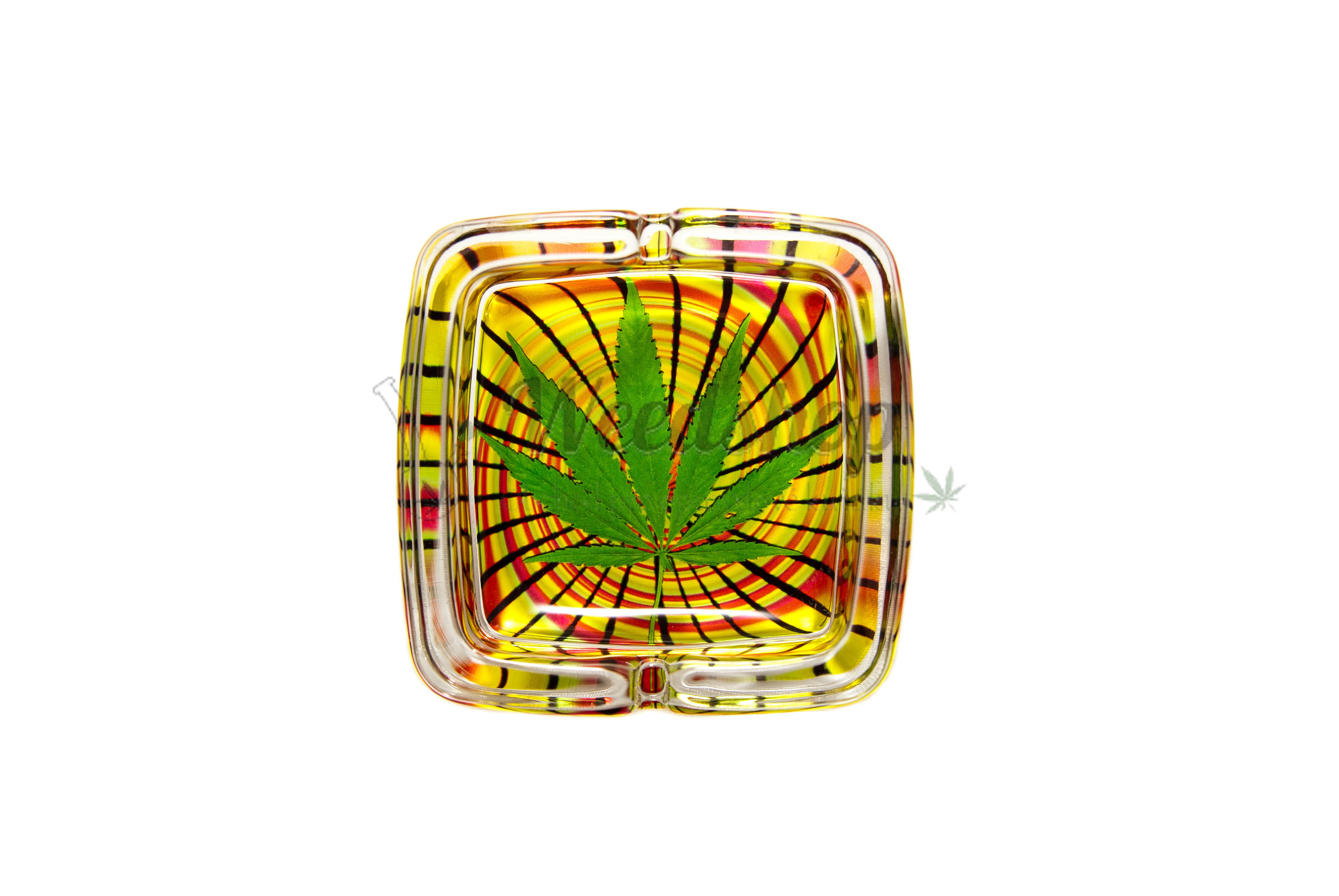 WeedShop Skleněný popelník hranatý - List konopí Varianty: List zelený spiral