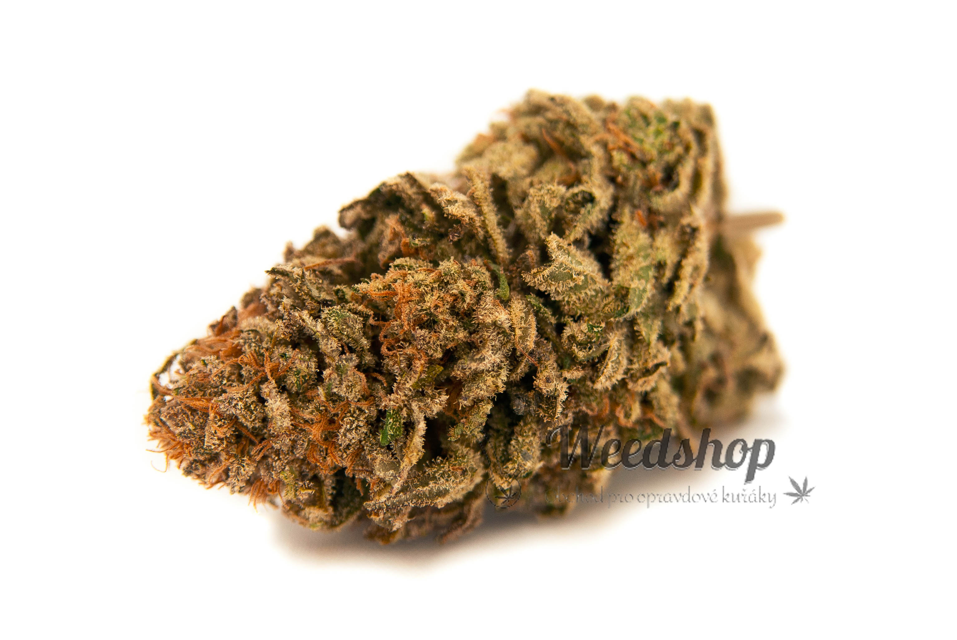 CBD konopí - Gorilla - Weedshop Váha: 1 g