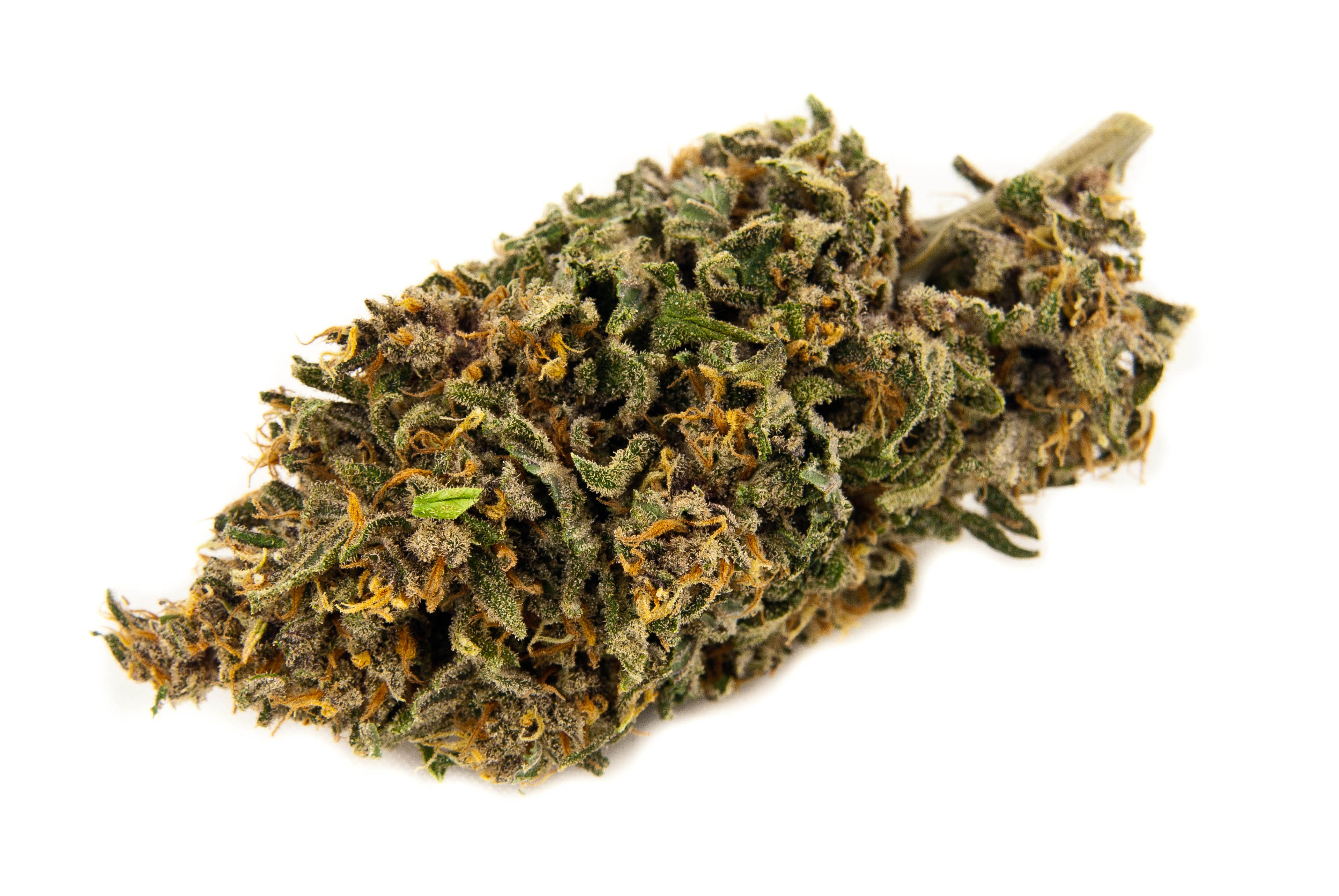 CBD konopí - Blueberry - Weedshop - 0,8 % THC Váha: 1 g