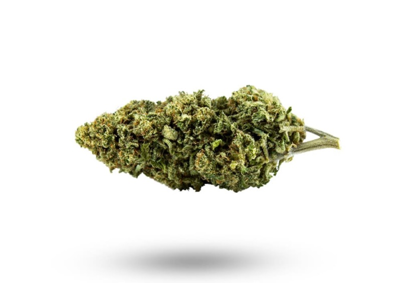 CBD konopí - #1 - CBWEED - 0,8% THC Váha: 5 g