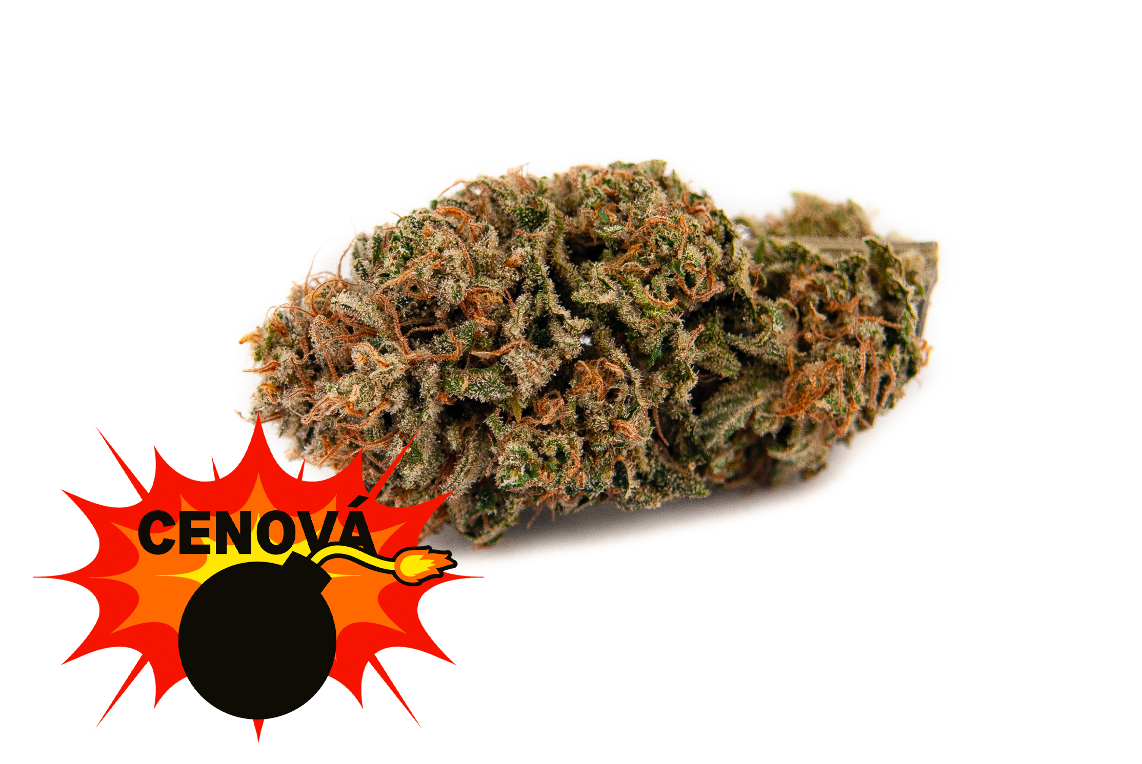 CBD konopí - Amnesia Haze - Weedshop - 0,7 % THC Váha: 10 g