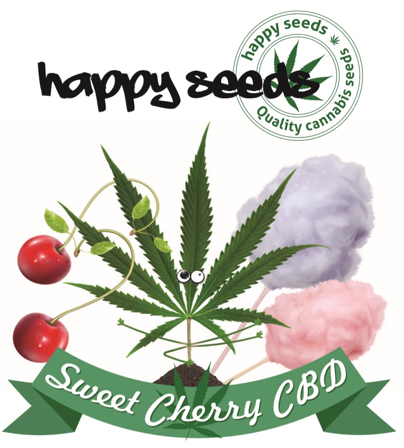happy seeds Sweet Cherry CBD - semena konopí Balení: 1 ks