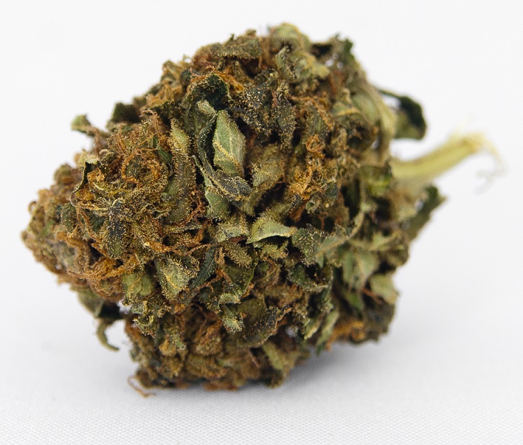 CBD konopí - Gorilla Glue - Happy seeds Váha: 1 g