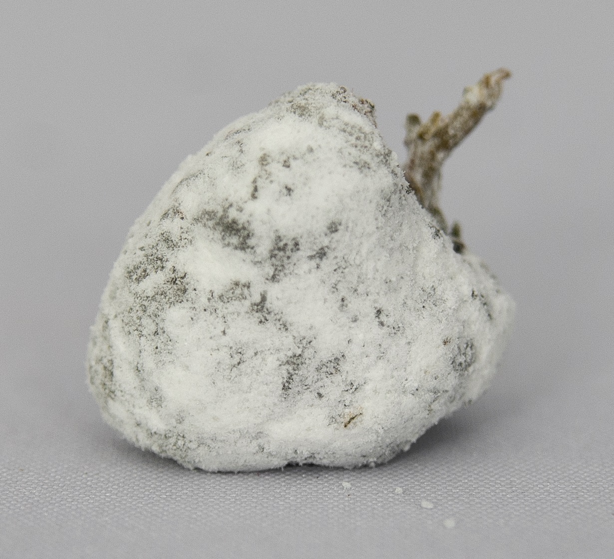 WeedShop CBD Icerock 75 % CBD Váha: 2 g