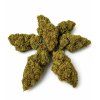 cbd kvety konopi slothzilla