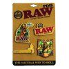 RAW PINS 01